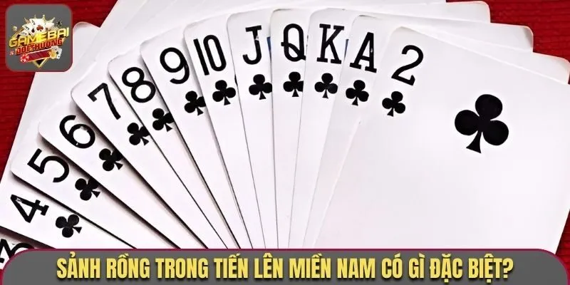 Sảnh rồng trong tiến lên miền nam